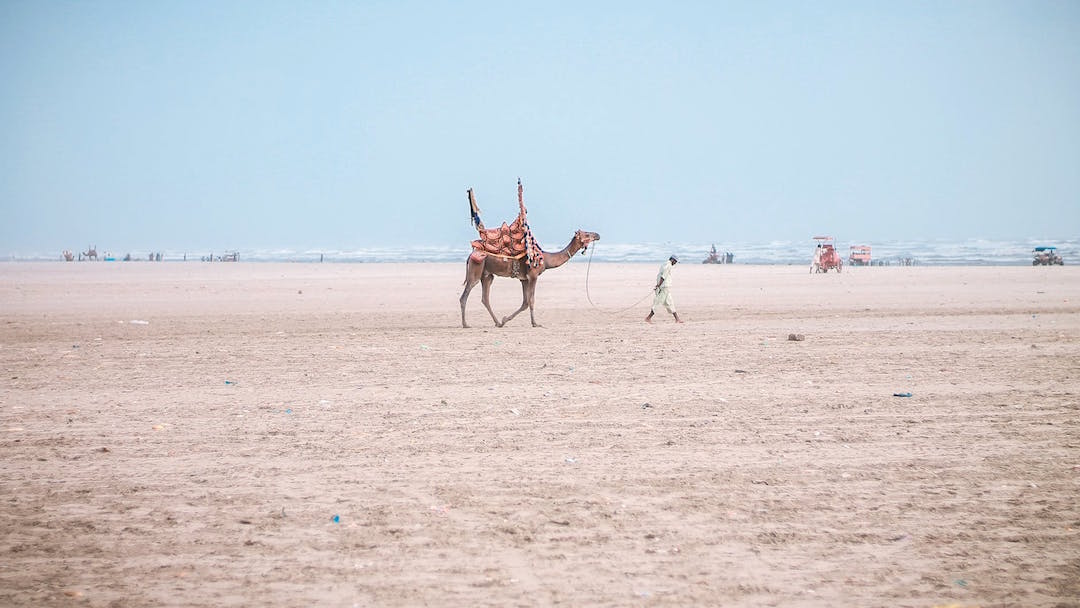 The Pandemic Filmmaker: Remote Working The Right Way
